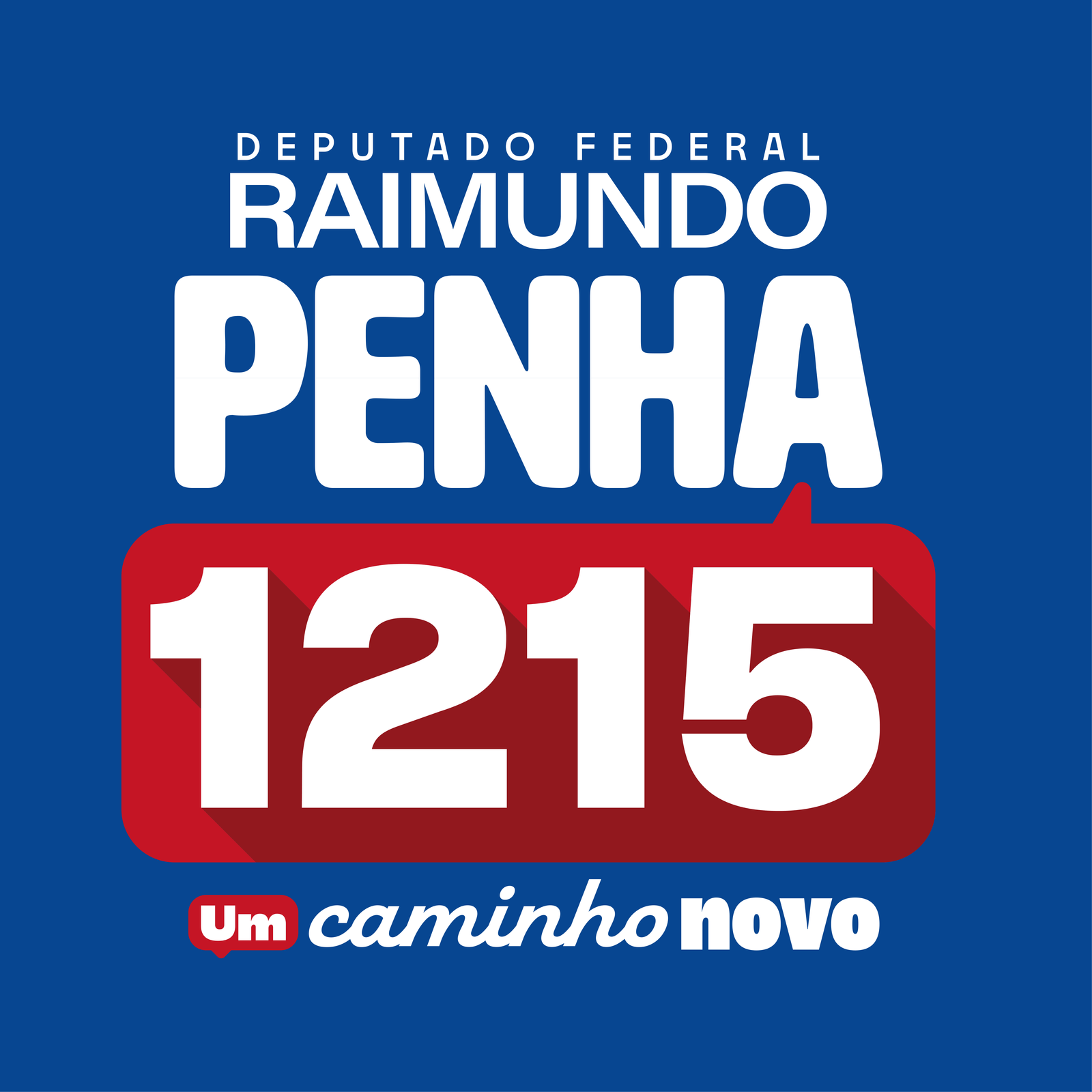 Raimundo Penha em atividade pública